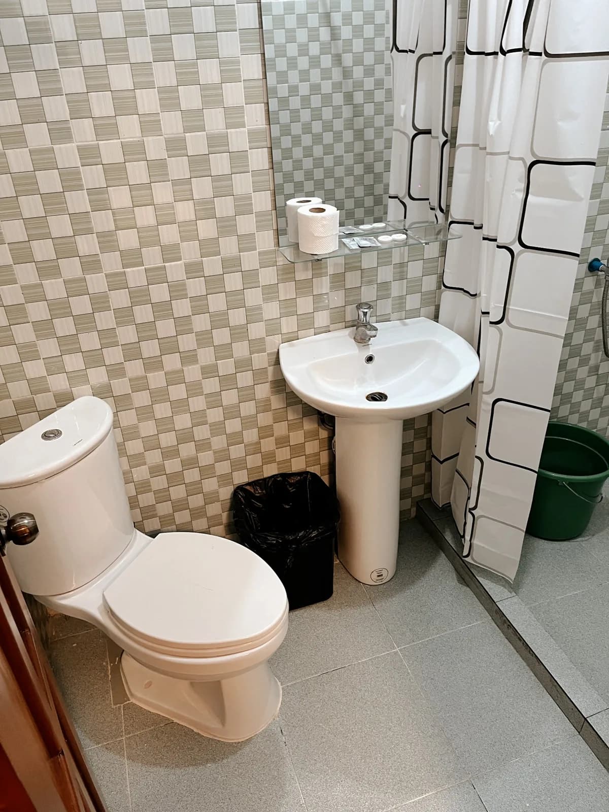 Private bathroom in the Double Room with toilet, basin and shower area.